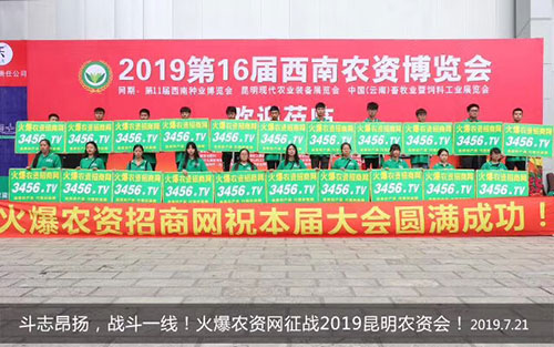rY̾Wّ2019r