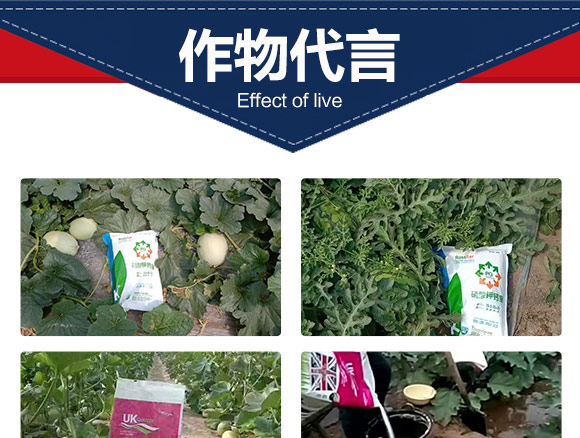 鑻卞浗鍗¤開澶紙鍖椾含錛夊啘涓氱鎶鏈夐檺鍏徃浜у搧_07.jpg 鑻卞浗鍗¤開澶紙鍖椾含錛夊啘涓氱鎶鏈夐檺鍏徃浜у搧_07.jpg