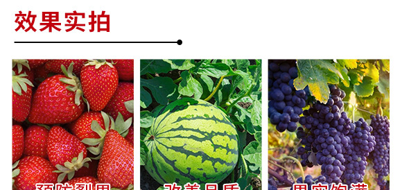 進口果頓普蓓·優鈣-功能性水溶葉面肥微肥-亞瑟夫 進口果頓普蓓·優鈣-功能性水溶葉面肥微肥-亞瑟夫