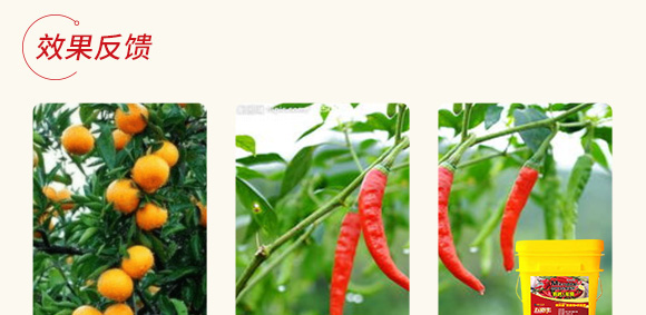 高抗1號菌(農用微生物菌劑)-五道豐 高抗1號菌(農用微生物菌劑)-五道豐