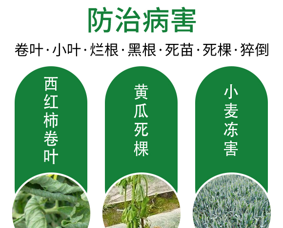 25ml綠葉先鋒-田園季豐-大豐肥業 25ml綠葉先鋒-田園季豐-大豐肥業