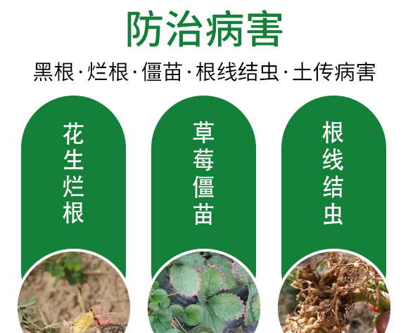 保花膨果肥-田園季豐-大豐肥業 保花膨果肥-田園季豐-大豐肥業