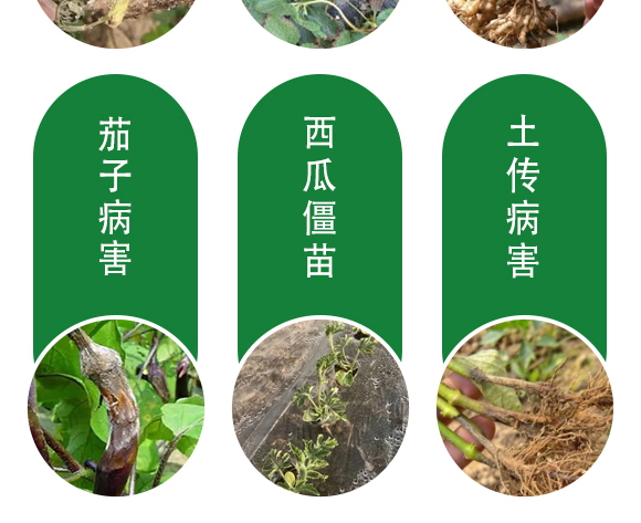 保花膨果肥-田園季豐-大豐肥業 保花膨果肥-田園季豐-大豐肥業