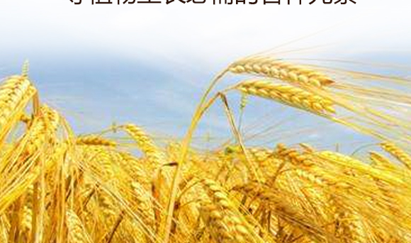 灞變笢鍐滀匠涓€鐢熺墿縐戞妧鏈夐檺鍏徃鐢誨唽_09.jpg 灞變笢鍐滀匠涓€鐢熺墿縐戞妧鏈夐檺鍏徃鐢誨唽_09.jpg