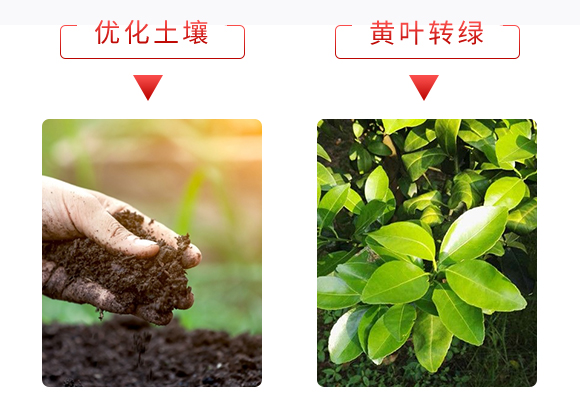 微生物菌劑-土煥金-安得泰 微生物菌劑-土煥金-安得泰