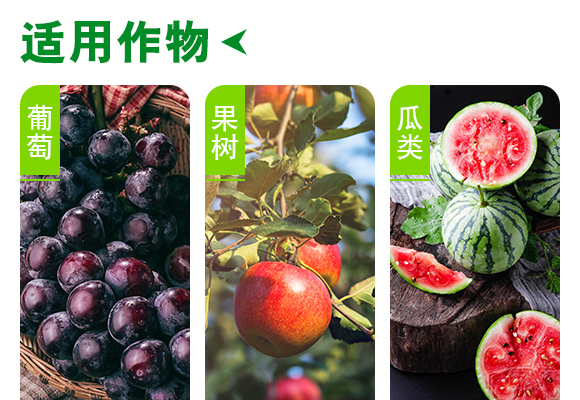 闈掑矝浣愰偊鐢熺墿縐戞妧鏈夐檺鍏徃浜у搧璇︽儏欏?_04.jpg 闈掑矝浣愰偊鐢熺墿縐戞妧鏈夐檺鍏徃浜у搧璇︽儏欏?_04.jpg