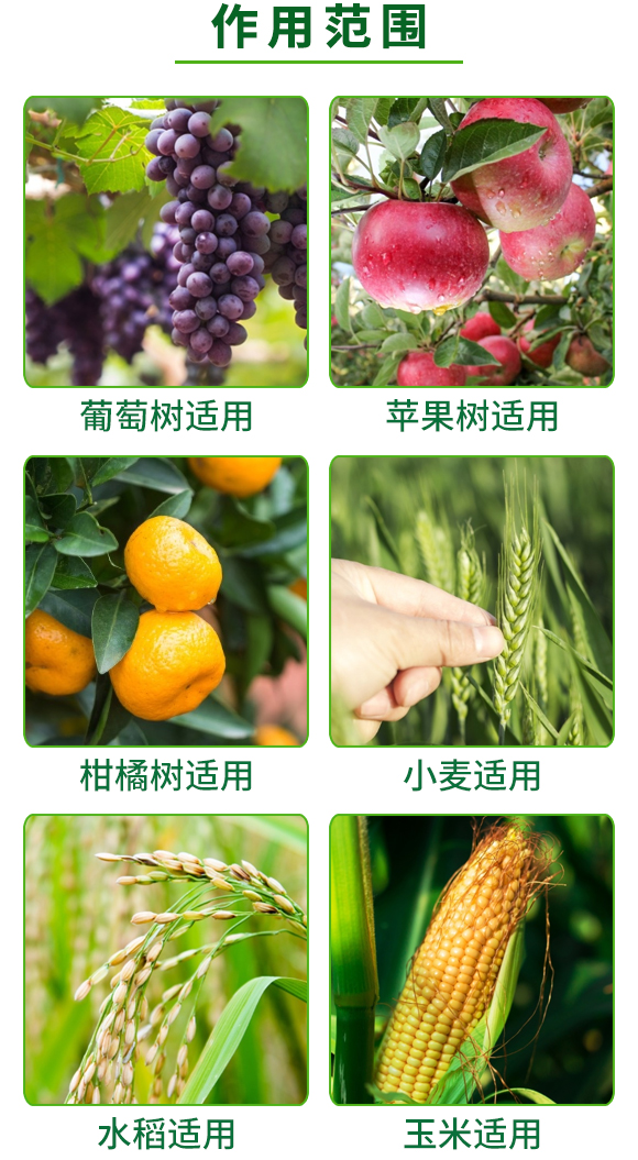 勁皇-調理肥-奧德福 勁皇-調理肥-奧德福