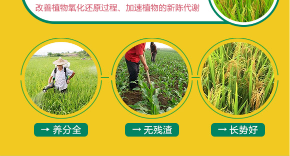 婕渤甯傚倕鐗屽啘涓氱鎶€鏈夐檺鍏徃3_06.jpg 婕渤甯傚倕鐗屽啘涓氱鎶€鏈夐檺鍏徃3_06.jpg