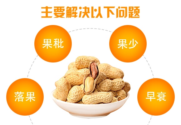 高硼高鉬型花生粒多飽-花多收-三禾肥業 高硼高鉬型花生粒多飽-花多收-三禾肥業
