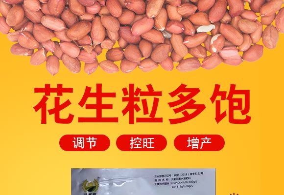 高硼高鉬型花生粒多飽-花多收-三禾肥業 高硼高鉬型花生粒多飽-花多收-三禾肥業
