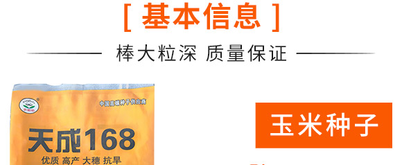 天成168-玉米種子-天成種業