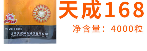 天成168-玉米種子-天成種業
