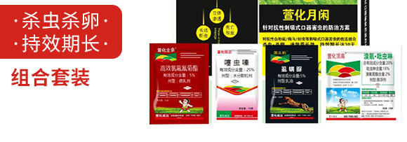 萱化月閑-萱化威遠