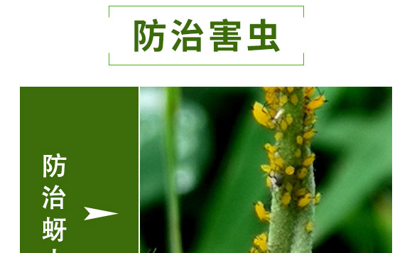 萱化月閑-萱化威遠