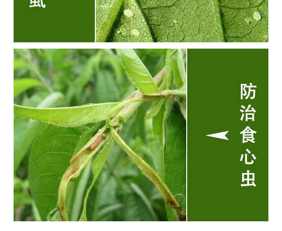 萱化月閑-萱化威遠