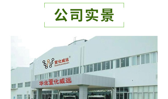 萱化月閑-萱化威遠