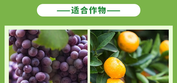 含腐植酸水溶肥料（生根膨果型）-俊果-中農可信