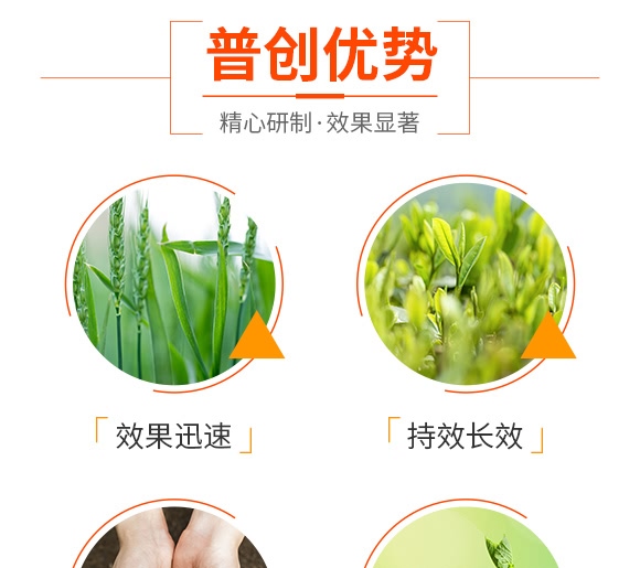 ç©©å®šæ€§æ¶²é«”ç·©é‡‹æ°®è‚¥-è‰¾è²æ–¯-æ™®å‰µ