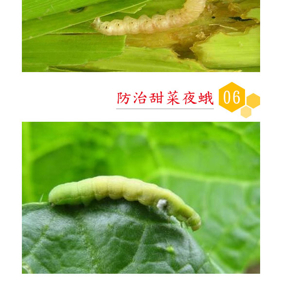 蘇云金桿菌懸浮劑-耕田人-潤倍生物