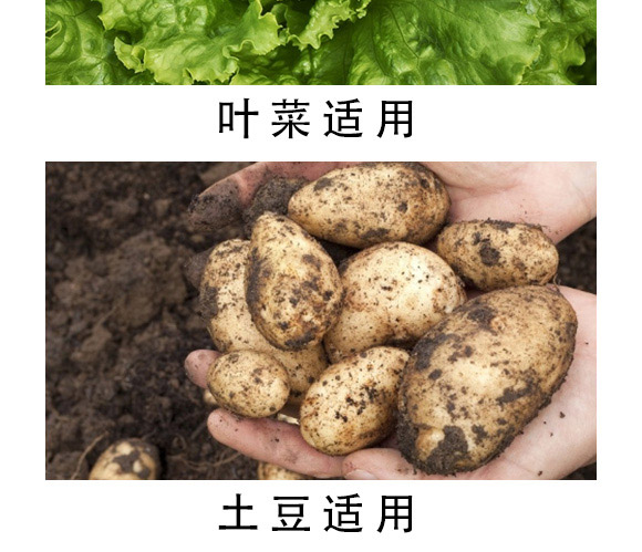 活力素-海法-海法國際