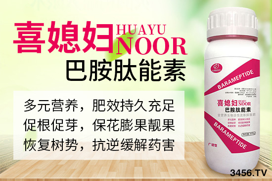諾爾生物技術有限公司主營哪些產(chǎn)品? 諾爾生物技術有限公司主營哪些產(chǎn)品?