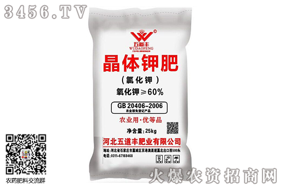 氯化鉀行情暫穩！2020-8-3今日氯化鉀價格行情日報