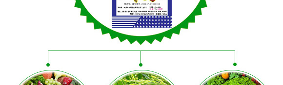 摻混肥料-農友福