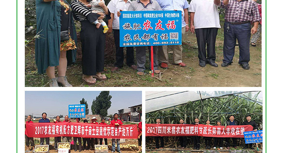 摻混肥料-農友福