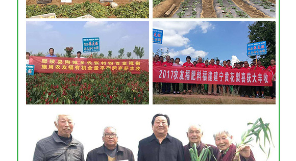 摻混肥料-農友福