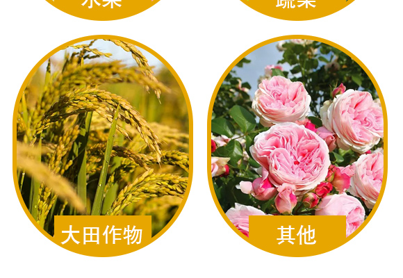 50%姘捍寮傛鞍灝塊吀-鑿屾瘨娓卂05.jpg 50%姘捍寮傛鞍灝塊吀-鑿屾瘨娓卂05.jpg