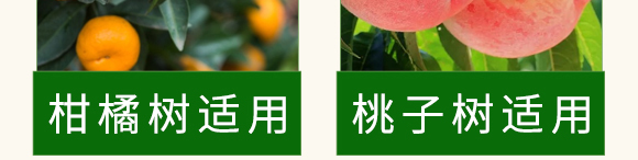 碳酶·海藻魚蛋白-春潮生物