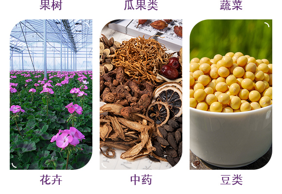 寰敓鐗╂湁鏈鴻偉-瀹炵敤鑿宊05.jpg 寰敓鐗╂湁鏈鴻偉-瀹炵敤鑿宊05.jpg