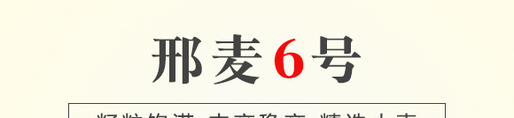 25kg邢麥6號-小麥種子-晨禾種業