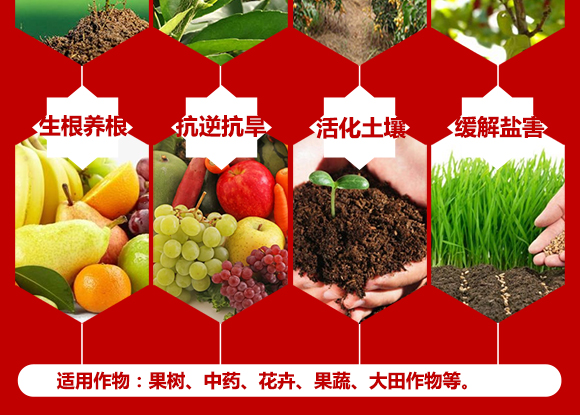 å¨Œæ²–å´¡ç¸æˆ£å½¶æ¿®å—™æ•“é—╃î–鎶€éˆå¤æªºé徃2_05.jpg å¨Œæ²–å´¡ç¸æˆ£å½¶æ¿®å—™æ•“é—╃î–鎶€éˆå¤æªºé徃2_05.jpg