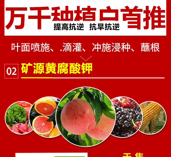 å¨Œæ²–å´¡ç¸æˆ£å½¶æ¿®å—™æ•“é—╃î–鎶€éˆå¤æªºé徃2_06.jpg å¨Œæ²–å´¡ç¸æˆ£å½¶æ¿®å—™æ•“é—╃î–鎶€éˆå¤æªºé徃2_06.jpg