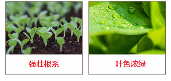 妞嶇墿钀ュ吇涓撳-鍏堜赴杈綺05.jpg 妞嶇墿钀ュ吇涓撳-鍏堜赴杈綺05.jpg