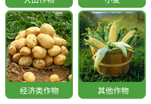 寰敓鐗╄弻鍓?鑰曚箰澹?鑰曡樹箰_06.jpg 寰敓鐗╄弻鍓?鑰曚箰澹?鑰曡樹箰_06.jpg