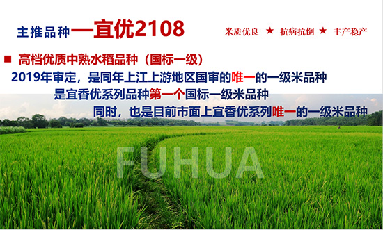 宜優2108-水稻種子-福華高科 宜優2108-水稻種子-福華高科