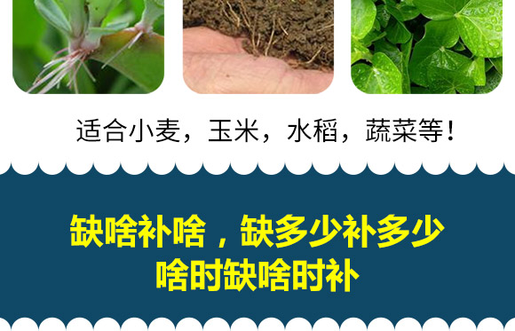 妞嶇墿钀ュ吇娑?姘寸珛涓癬10.jpg 妞嶇墿钀ュ吇娑?姘寸珛涓癬10.jpg
