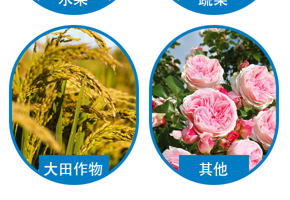 鏍硅厫鍑€-閭︿繚浼犲-閭︿繚鑲ヤ笟_05.jpg 鏍硅厫鍑€-閭︿繚浼犲-閭︿繚鑲ヤ笟_05.jpg