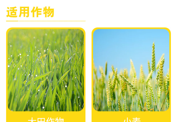 5浜垮井鐢熺墿鑿屽墏-紲炶祼紱?鐩涘ぇ鐢熸乢05.jpg 5浜垮井鐢熺墿鑿屽墏-紲炶祼紱?鐩涘ぇ鐢熸乢05.jpg