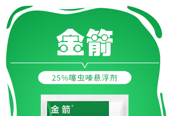25%鍣昏櫕鍡?zhèn)瑡巩鍓俖01.jpg