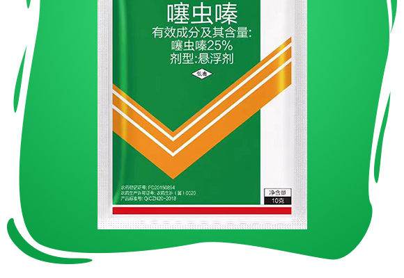 25%鍣昏櫕鍡?zhèn)瑡巩鍓俖02.jpg
