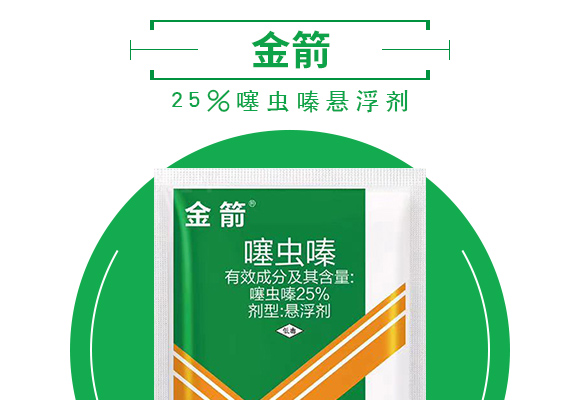 25%鍣昏櫕鍡?zhèn)瑡巩鍓俖03.jpg