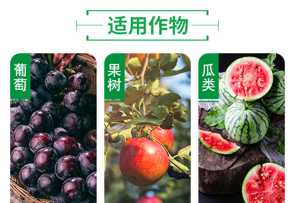 25%鍣昏櫕鍡?zhèn)瑡巩鍓俖05.jpg