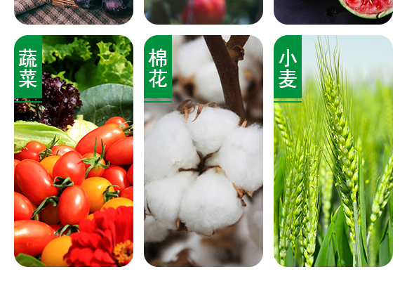 25%鍣昏櫕鍡?zhèn)瑡巩鍓俖06.jpg