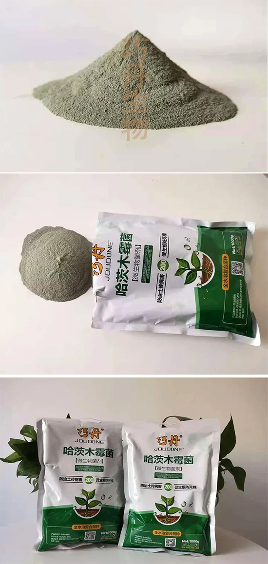 哈茨木霉菌-巧丹-萬瑞谷德 哈茨木霉菌-巧丹-萬瑞谷德