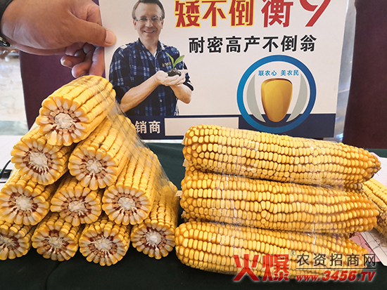 聯美農業科技（河北）有限公司