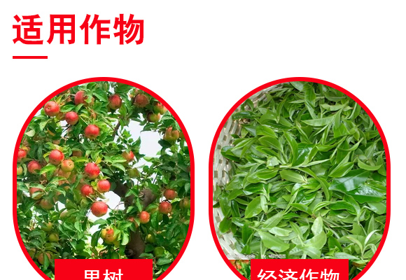 钃熼棽-0_04.jpg