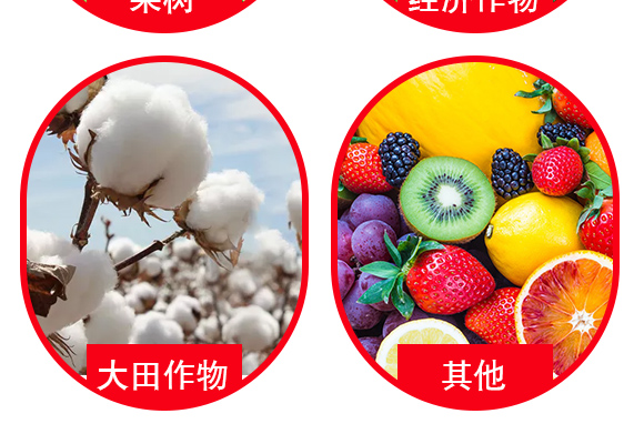 钃熼棽-0_05.jpg